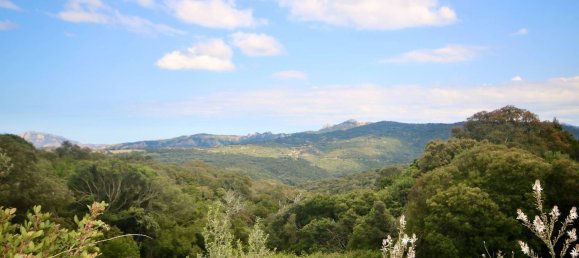 2-salle Maison à Arzachena, Italy No. 74672 50