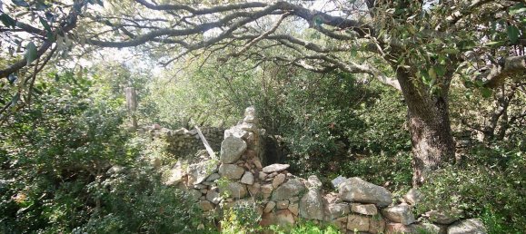 2-salle Maison à Arzachena, Italy No. 74672 8