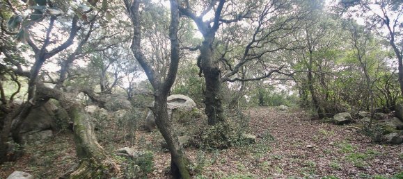 2-salle Maison à Arzachena, Italy No. 74672 20