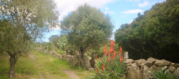 2-salle Maison à Arzachena, Italy No. 74672 47