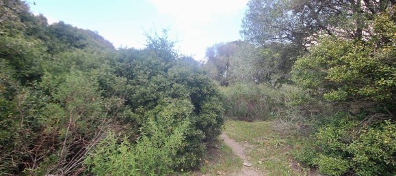 2-salle Maison à Arzachena, Italy No. 74672 24