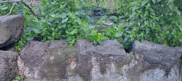 2 bedrooms House in Belpasso, Italy No. 121399 2