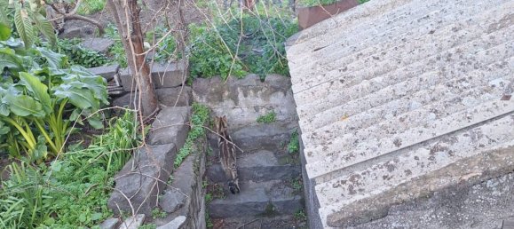 2 bedrooms House in Belpasso, Italy No. 121399 9