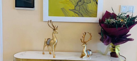 2 bedrooms Apartment in Binh Thanh, Vietnam No. 18293 16