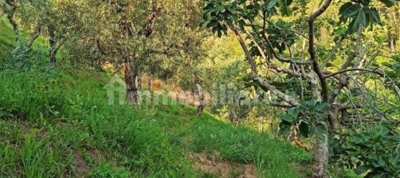 5 Schlafzimmer Haus in Lucca, Italy, Nr. 105235 15