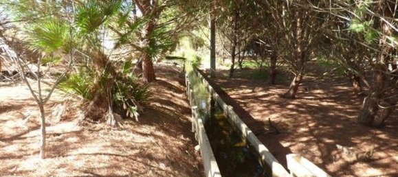 4 chambres Maison à Silves, Portugal No. 157123 10
