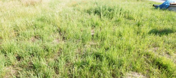 Terrain à Andorf, Austria 883m² No. 226775 2