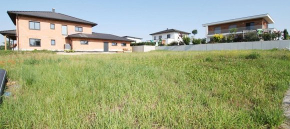 Terrain à Andorf, Austria 883m² No. 226775 4