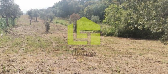 Terreno en Ega, Portugal 2700 m² No. 70958 13