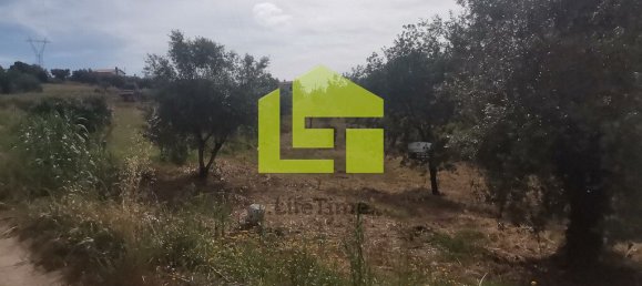 Terreno en Ega, Portugal 2700 m² No. 70958 18