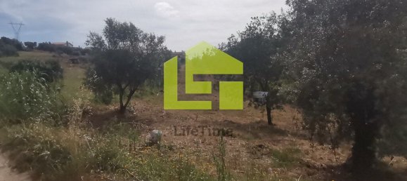Terreno en Ega, Portugal 2700 m² No. 70958 19