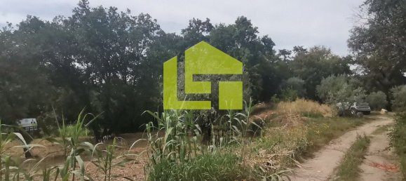 Terreno en Ega, Portugal 2700 m² No. 70958 21