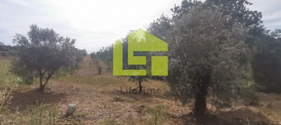 Terreno en Ega, Portugal 2700 m² No. 70958 17