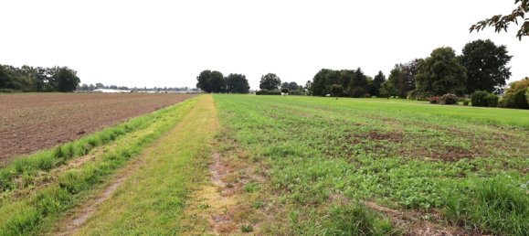 3 chambres Maison à Bergedorf, Germany No. 325692 18