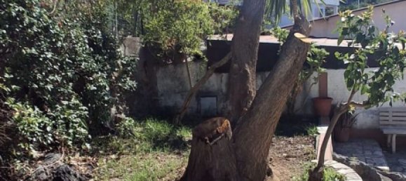 4 Schlafzimmer Haus in Praia a Mare, Italy, Nr. 339846 3