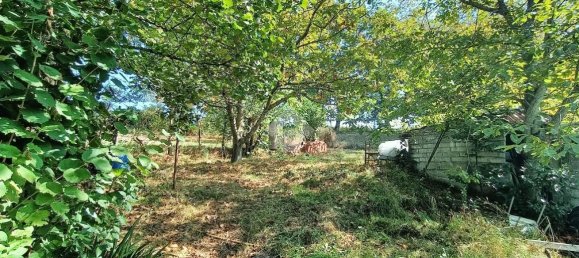 Casa de 3 habitaciónes en Segni, Italy No. 172442 14