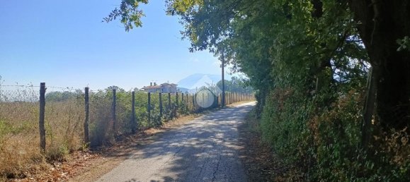 Casa de 3 habitaciónes en Segni, Italy No. 172442 11