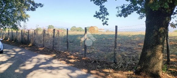 Casa de 3 habitaciónes en Segni, Italy No. 172442 18