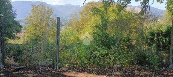 Casa de 3 habitaciónes en Segni, Italy No. 172442 15