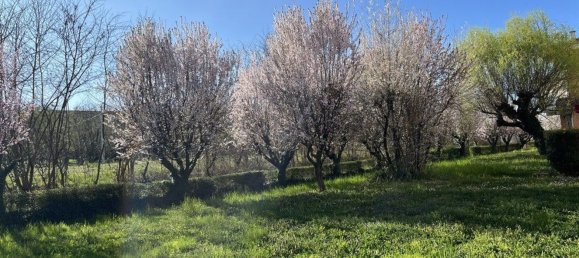 4 bedrooms Apartment in Mondovì, Italy No. 58872 27