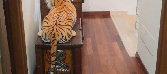 5-Zimmer Haus in Carmignano, Italy, Nr. 148702 22