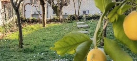 5-Zimmer Haus in Carmignano, Italy, Nr. 148702 30