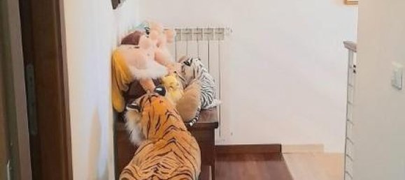 5-Zimmer Haus in Carmignano, Italy, Nr. 148702 23