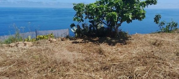 Grundstück in Tenerife, Spain 2543m², Nr. 180415 7