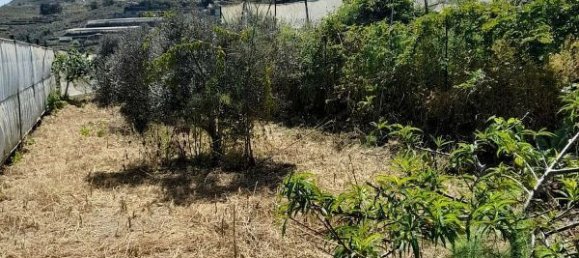 Grundstück in Tenerife, Spain 2543m², Nr. 180415 3