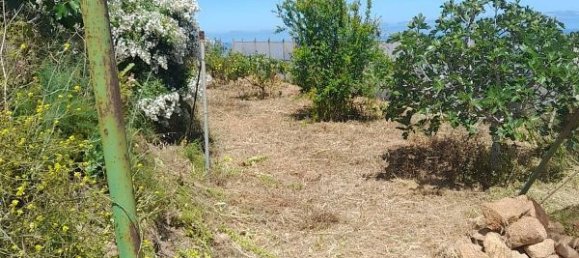 Grundstück in Tenerife, Spain 2543m², Nr. 180415 5