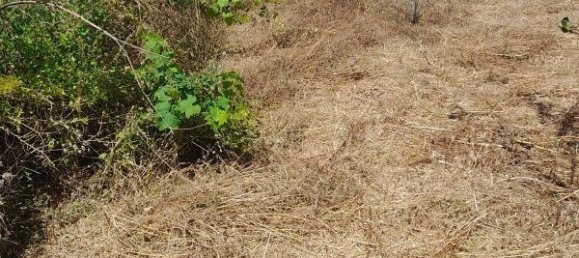 Grundstück in Tenerife, Spain 2543m², Nr. 180415 4