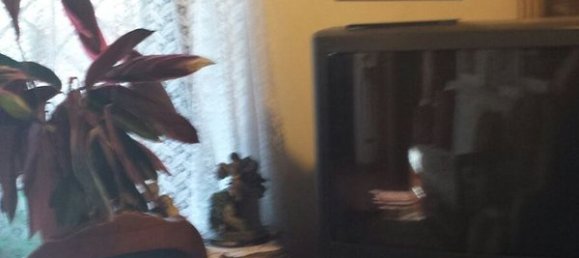 Casa de 5 habitaciónes en Palestrina, Italy No. 71914 13