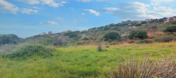 Grundstück in Santa Teresa Gallura, Italy 169338m², Nr. 174991 7