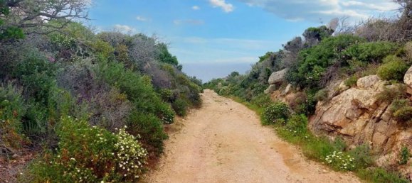 Grundstück in Santa Teresa Gallura, Italy 169338m², Nr. 174991 4