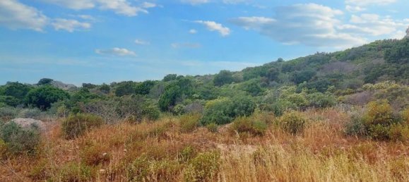 Grundstück in Santa Teresa Gallura, Italy 169338m², Nr. 174991 6