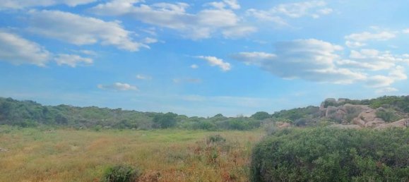 Grundstück in Santa Teresa Gallura, Italy 169338m², Nr. 174991 5