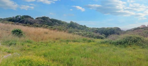 Grundstück in Santa Teresa Gallura, Italy 169338m², Nr. 174991 8