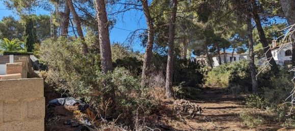  Land in Benissa, Spain No. 80452 11