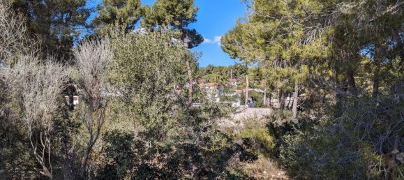  Land in Benissa, Spain No. 80452 6