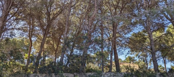  Land in Benissa, Spain No. 80452 9