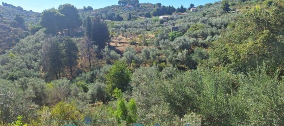 Вилла с 6 спальнями в Монреале, Италия № 302041 29