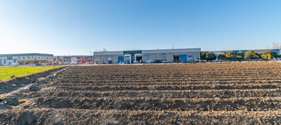 5171m² Land in Fuente Vaqueros, Spain No. 172024 9