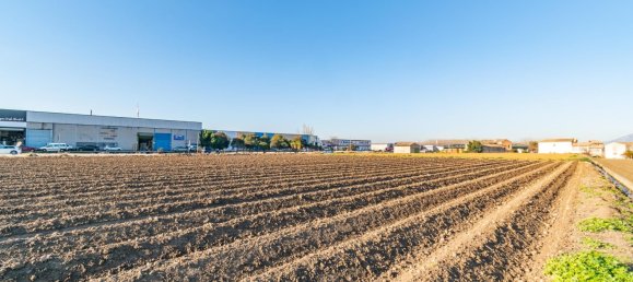 5171m² Land in Fuente Vaqueros, Spain No. 172024 8