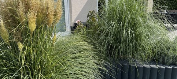 4 غرف نوم فيلا في Dahme-Spreewald, Germany رقم 330090 2