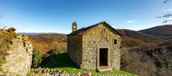 35 bedrooms House in Talla, Italy No. 276798 37