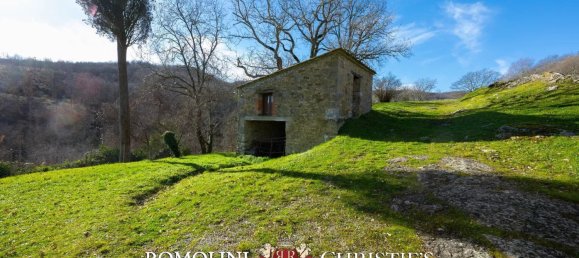 35 bedrooms House in Talla, Italy No. 276798 35