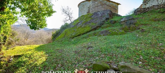 35 bedrooms House in Talla, Italy No. 276798 40