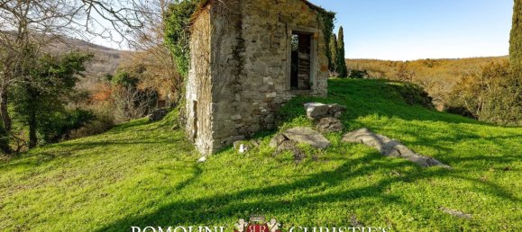 35 bedrooms House in Talla, Italy No. 276798 36