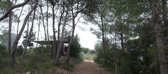 Casa T1 em Barxeta, Spain N.º 26602 19