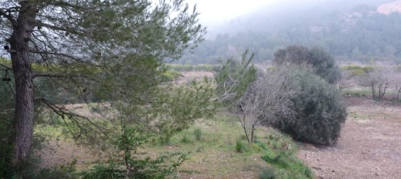 Casa T1 em Barxeta, Spain N.º 26602 20